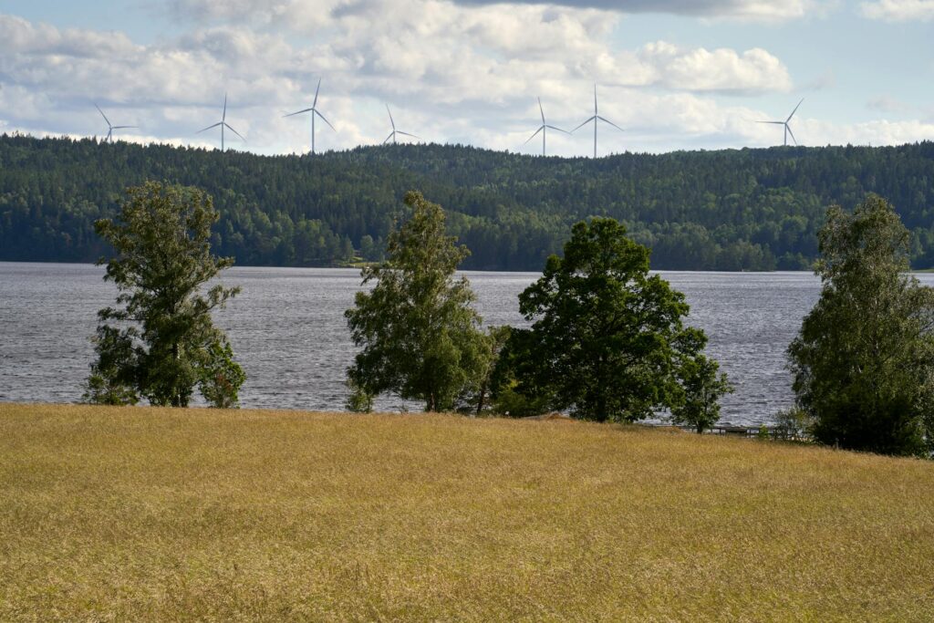 Renewable energy development in India featuring solar, wind and clean energy infrastructure supporting the energy transition.